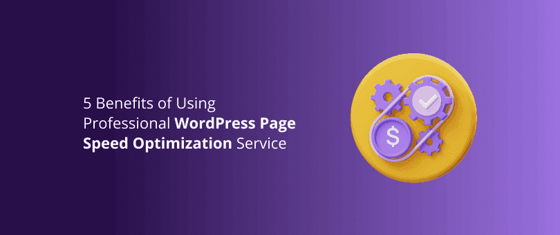 Professional WordPress Speed Optimization Services
