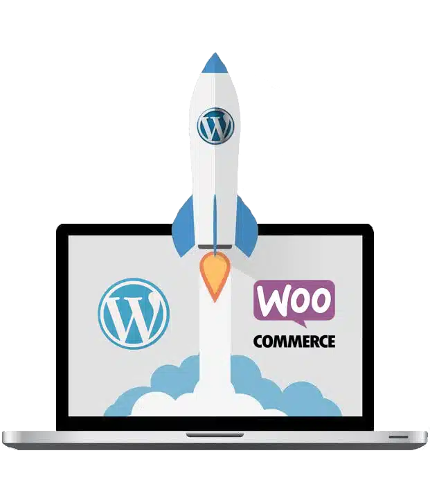 Wordpress Speed Optimization Services