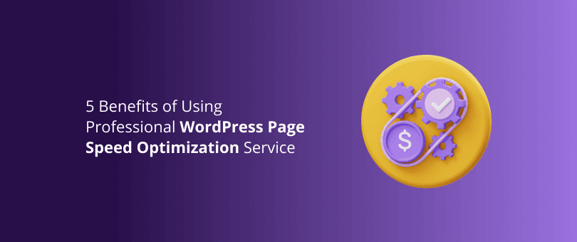 Professional WordPress Speed Optimization Services